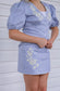 Blue roses set